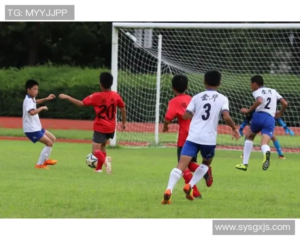 杭州足球队挑战赛表现分析与比赛经验总结